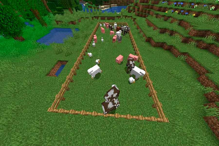 Животные фермы в Minecraft: свиньи, куры, коровы