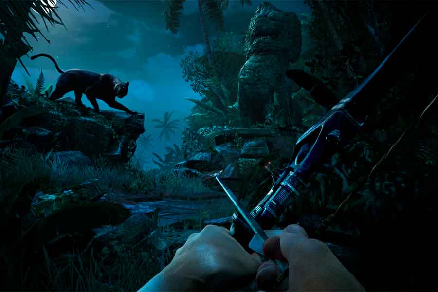 Растения и животные Растения и животные