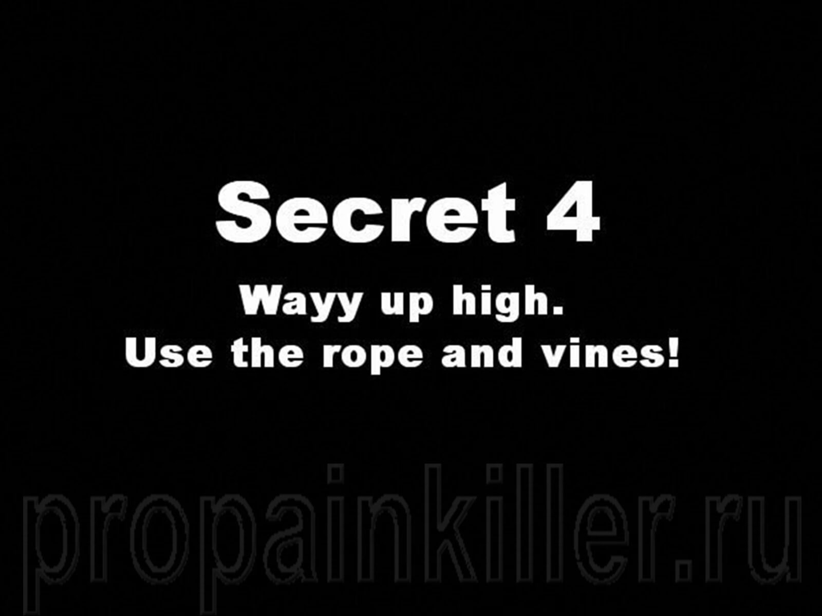 Скриншоты поиска секретов. Painkiller